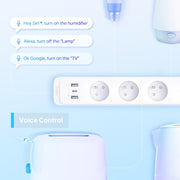 TP-LINK Tapo P300