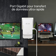 TP-LINK PGW2445 KIT